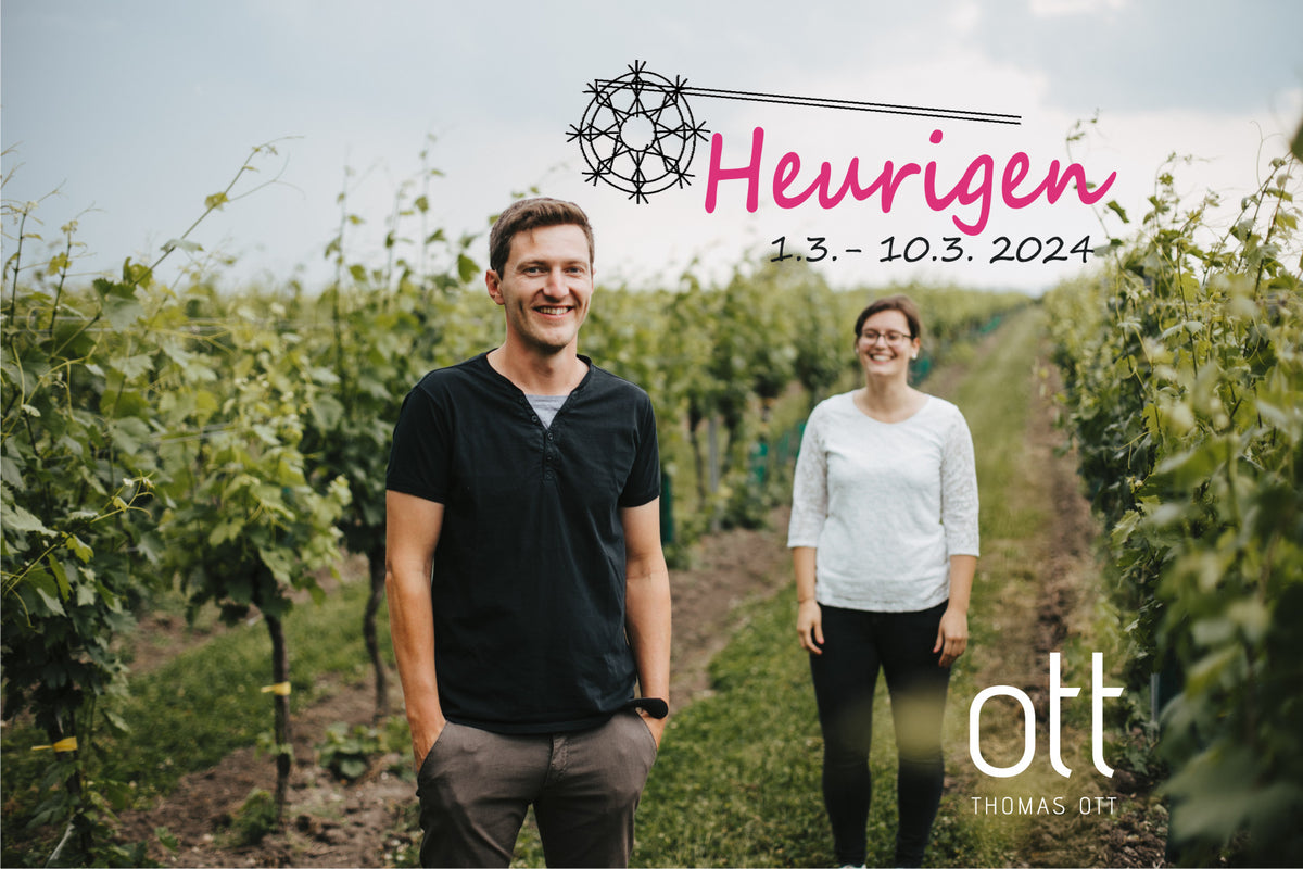 Heuriger im März 2024
