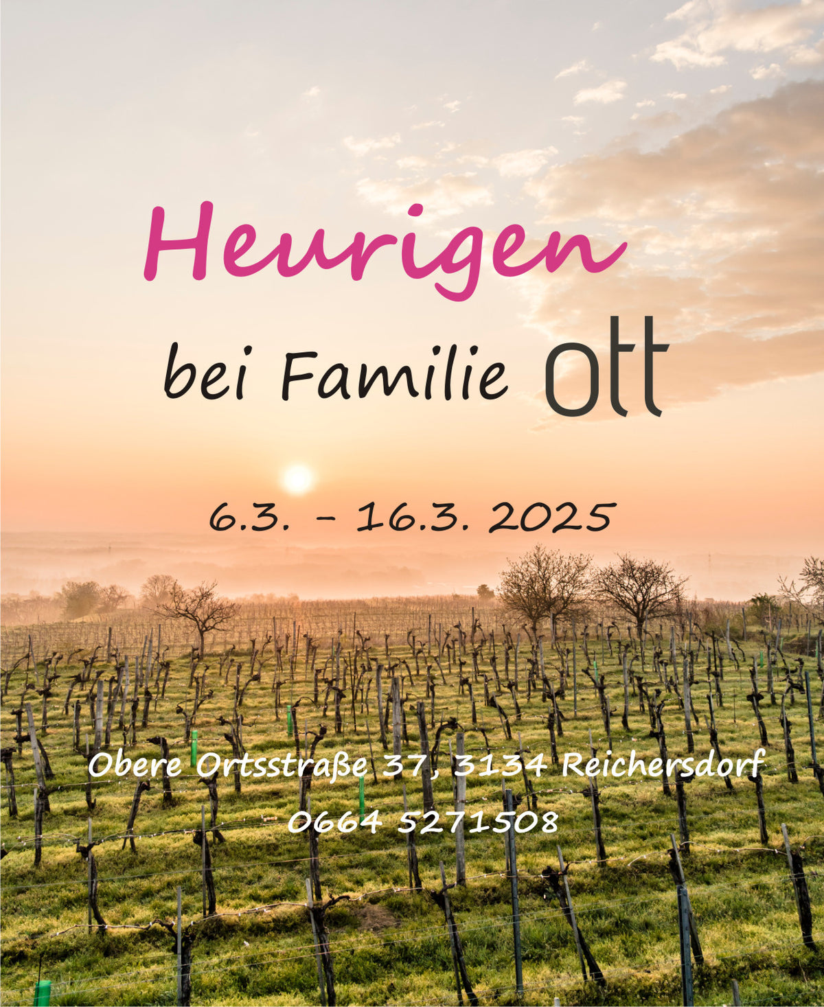 Heuriger im März 2025