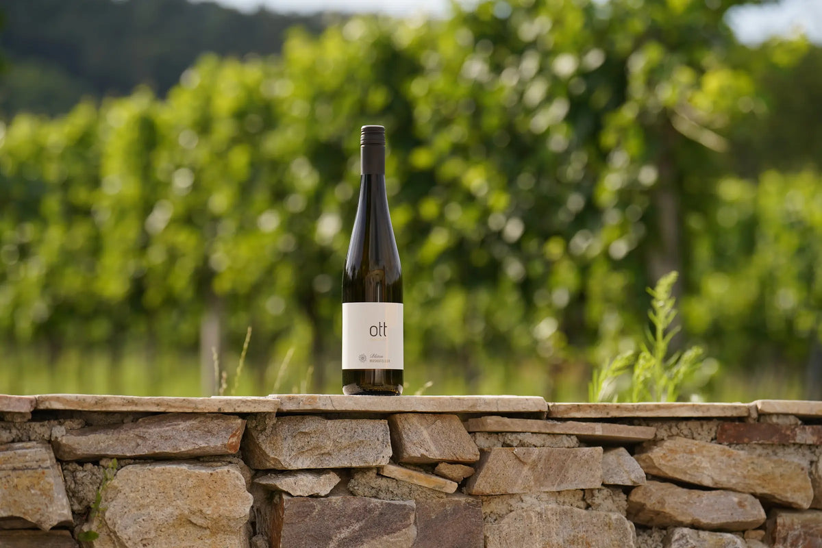 Blütenmuskateller – Weingut Ott