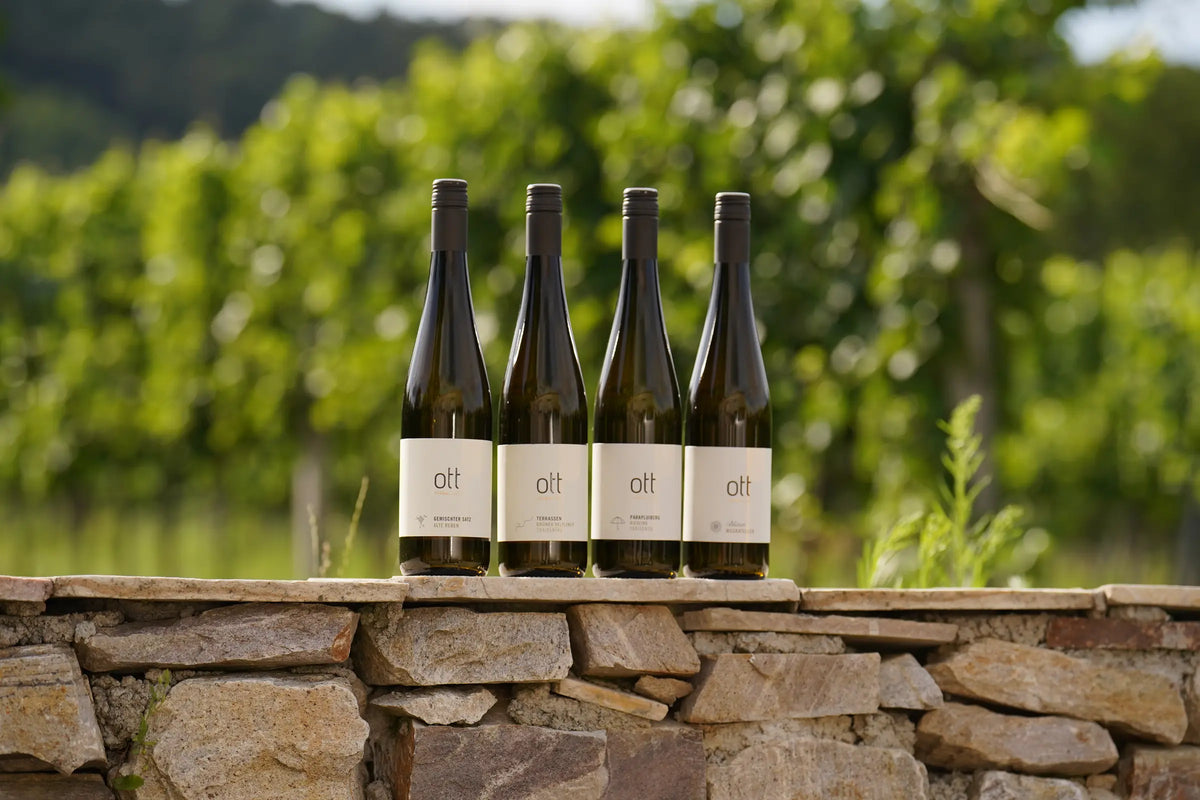 Gebietsweine – Weingut Ott