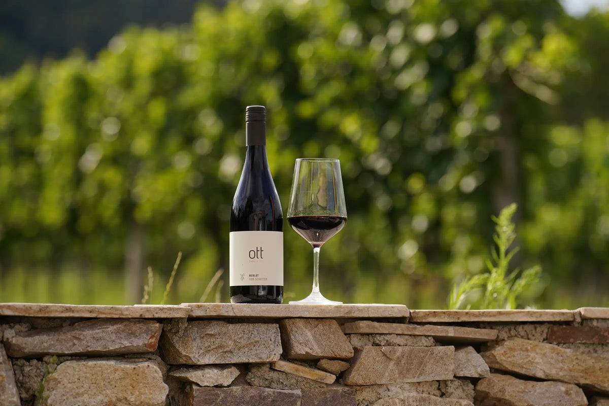 Merlot – Weingut Ott