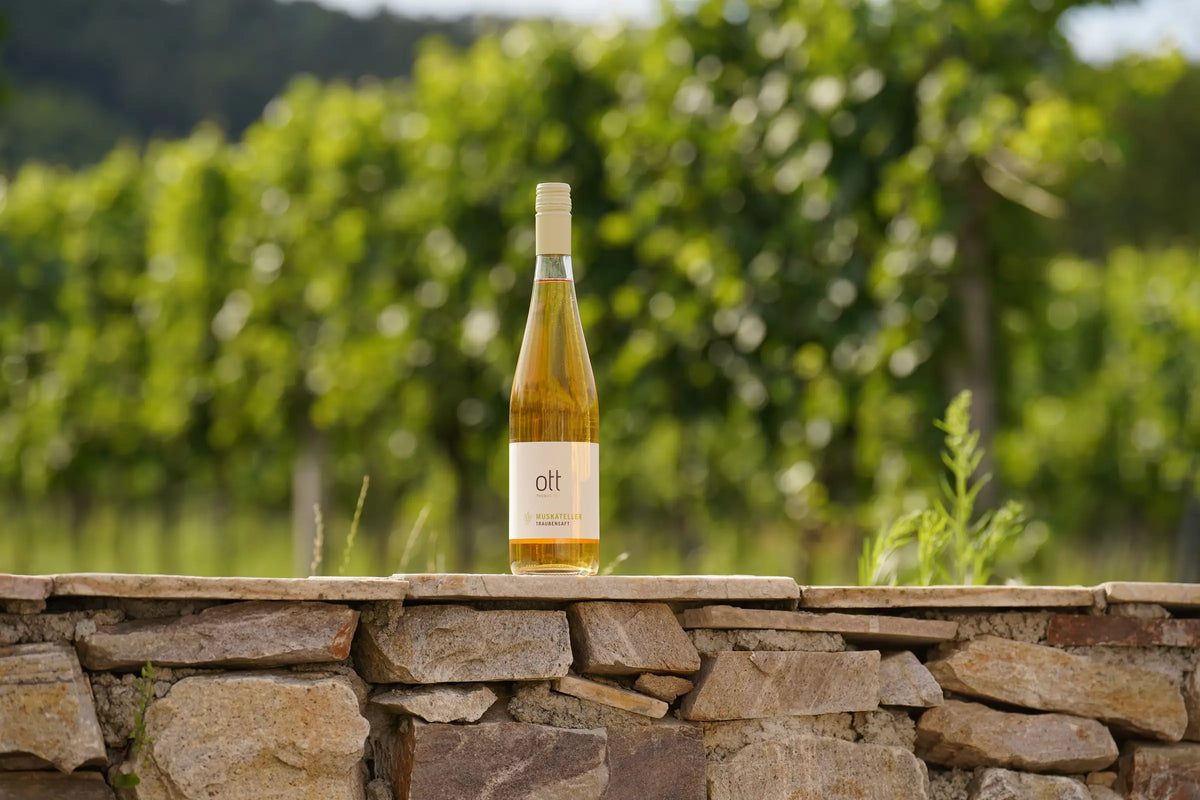 Muskateller – Weingut Ott