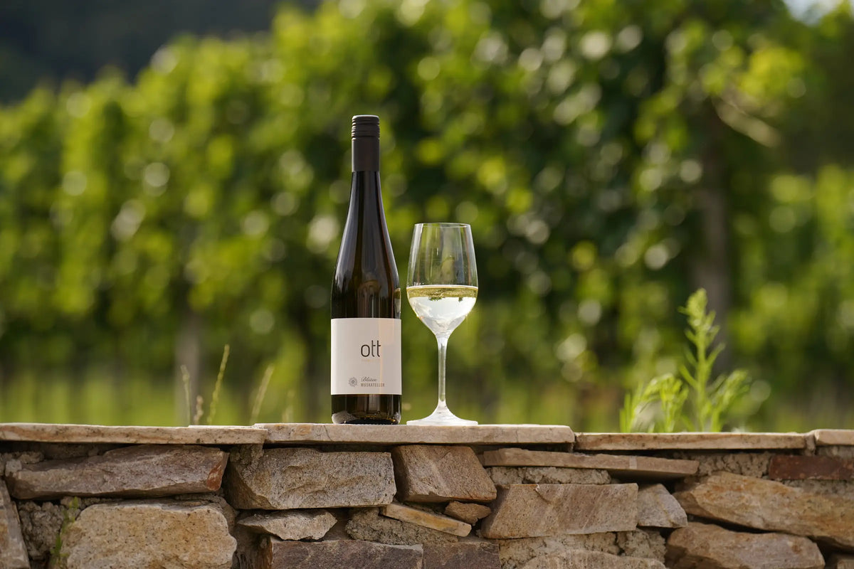 PIWI – Weingut Ott