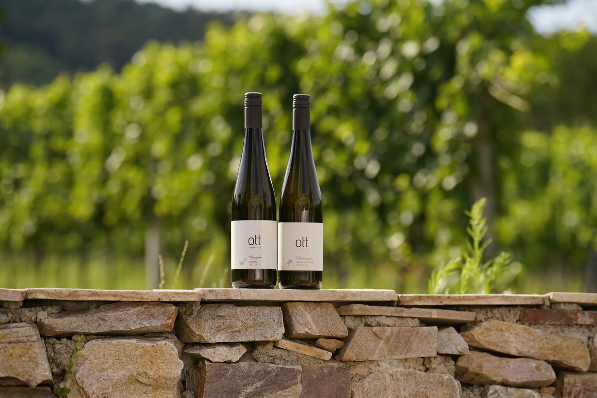 Riedenweine – Weingut Ott