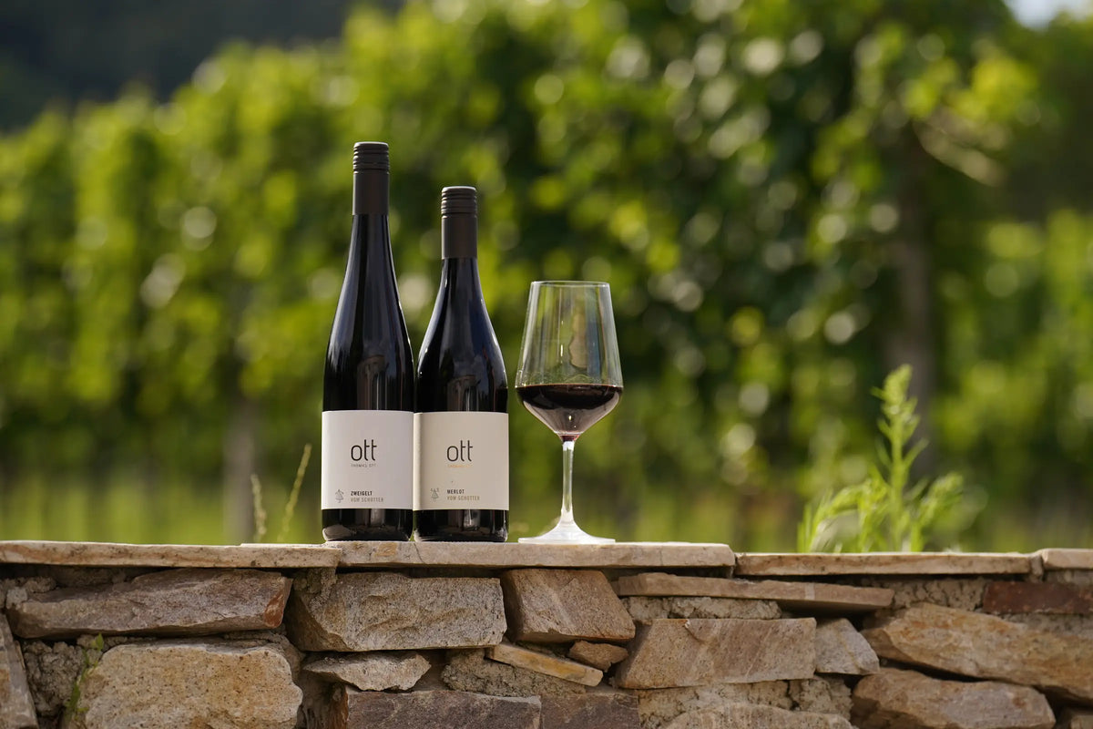 Rotwein – Weingut Ott