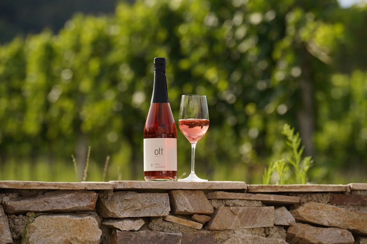 Schaumwein – Weingut Ott