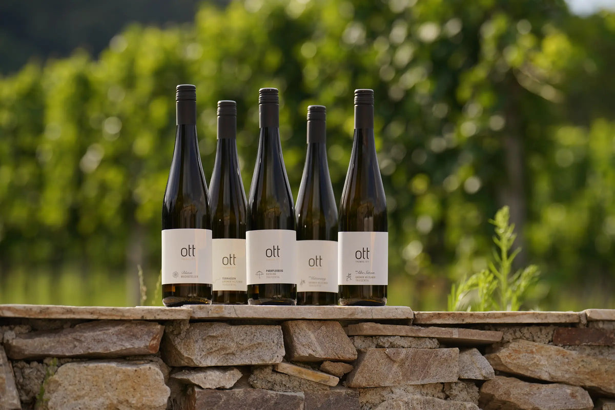 Weißwein – Weingut Ott