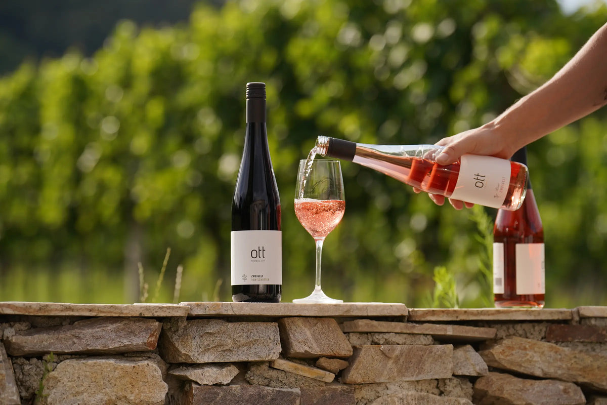 Zweigelt – Weingut Ott