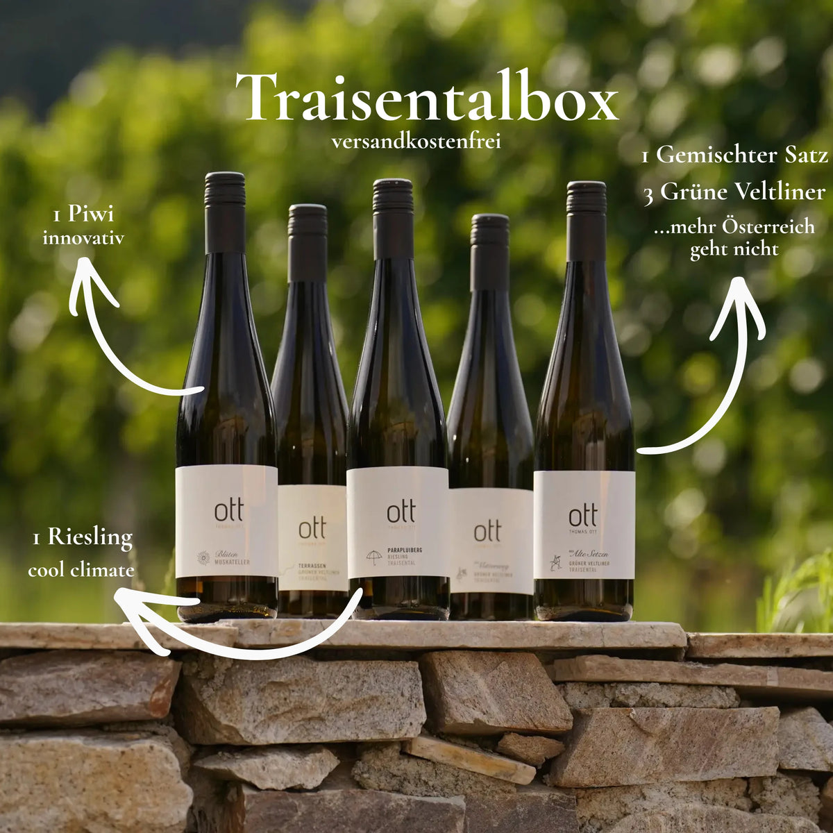 Traisentalbox