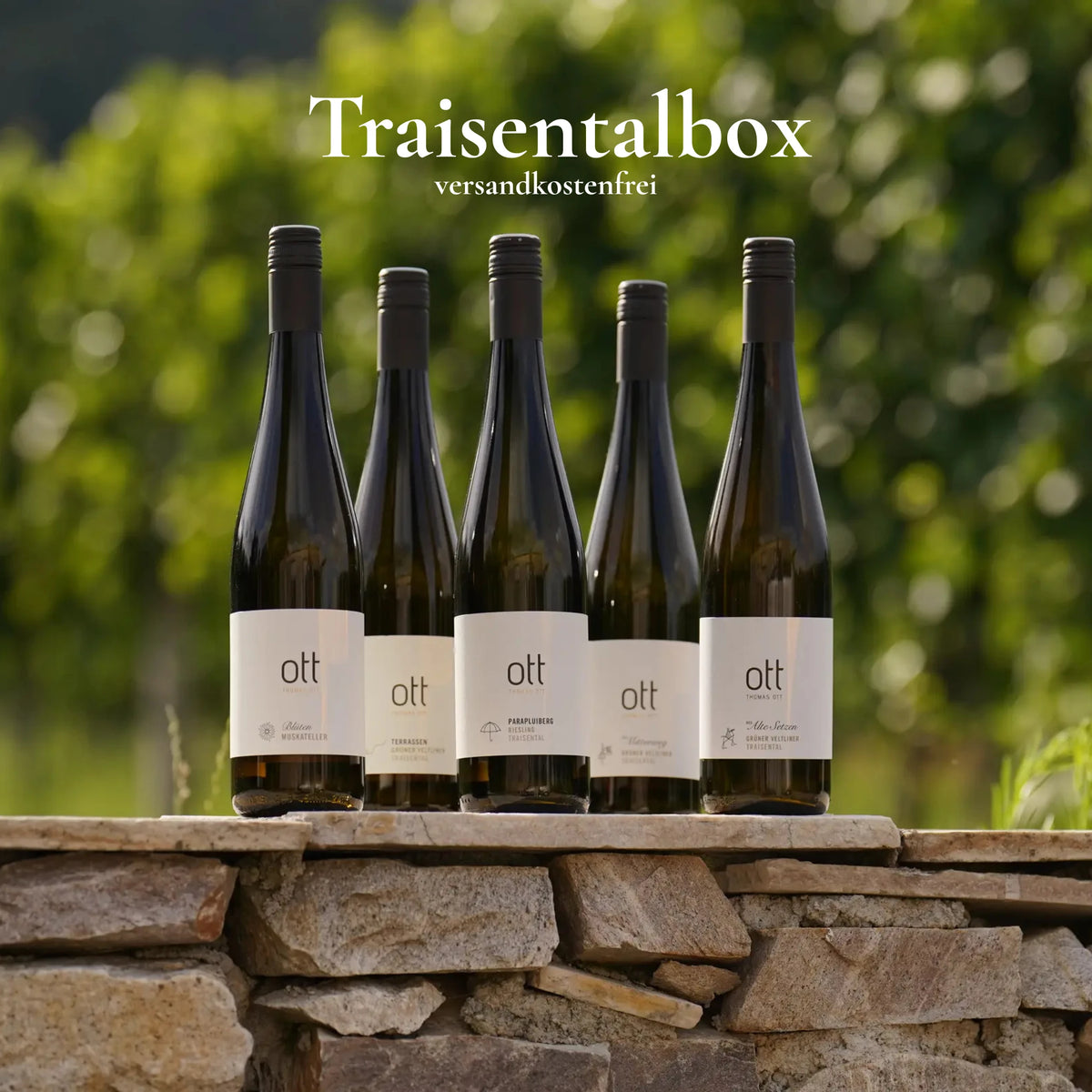 Traisentalbox