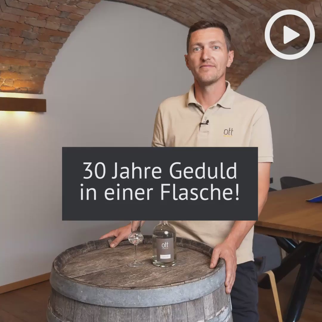 Zwetschke „Drei Jahrzehnte“