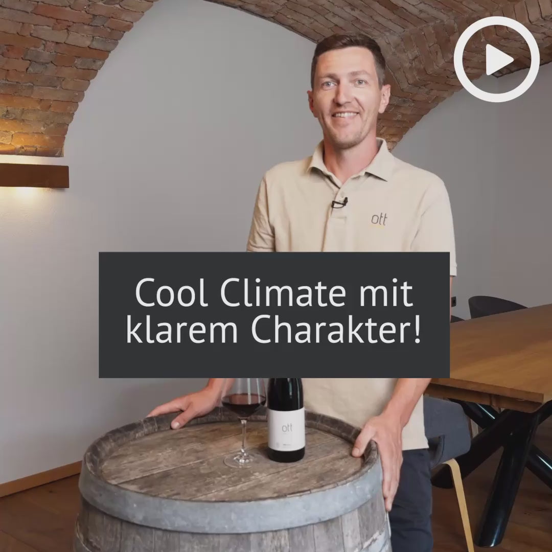 Zweigelt vom Schotter