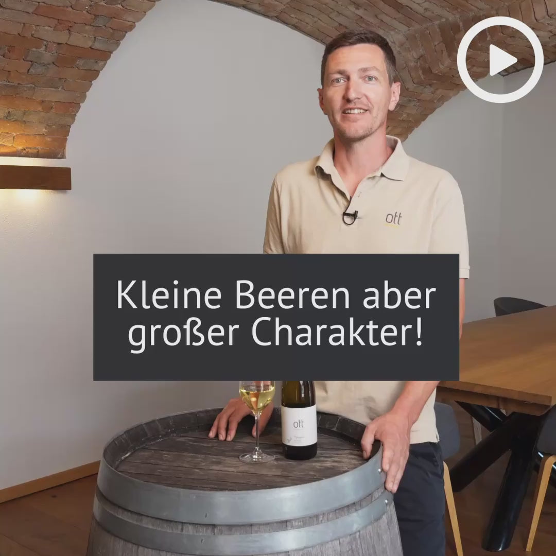 Riesling Ried Spiegeln 2023